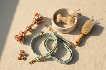Pet Accessories